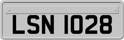 LSN1028