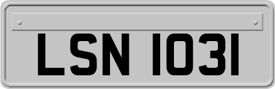 LSN1031