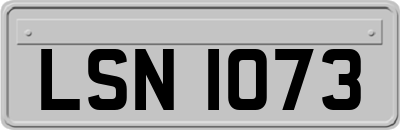 LSN1073