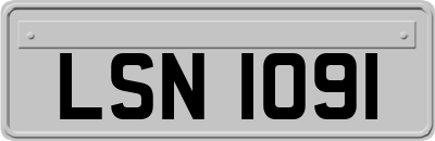 LSN1091