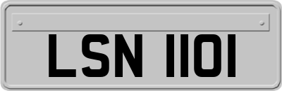 LSN1101