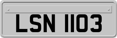 LSN1103