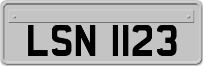 LSN1123