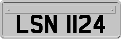 LSN1124