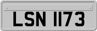 LSN1173