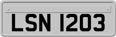 LSN1203