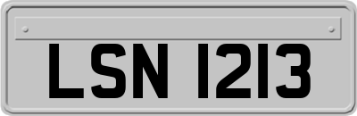 LSN1213