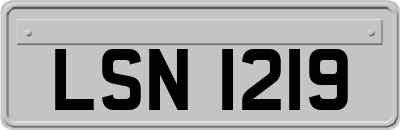 LSN1219