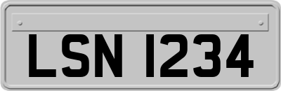 LSN1234