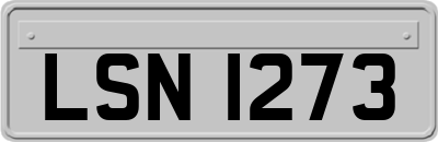 LSN1273