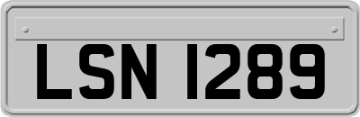 LSN1289