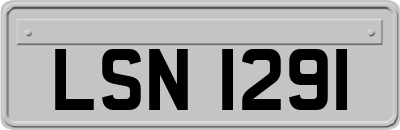 LSN1291