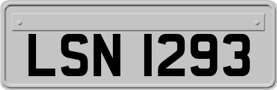 LSN1293