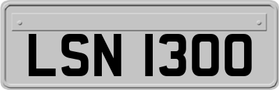 LSN1300