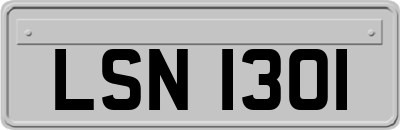 LSN1301