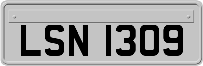LSN1309