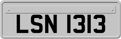 LSN1313