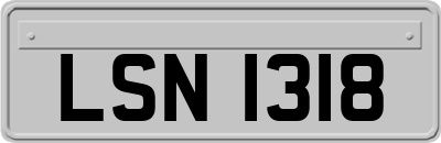 LSN1318