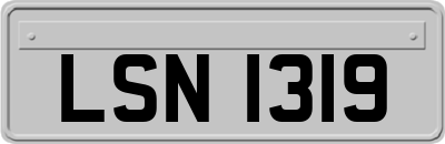 LSN1319