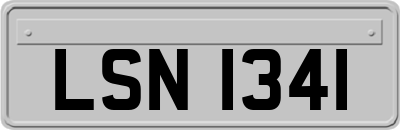 LSN1341