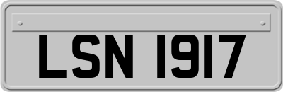 LSN1917