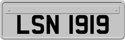 LSN1919
