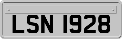 LSN1928