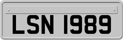 LSN1989