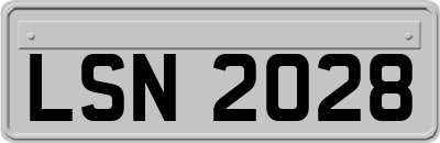 LSN2028