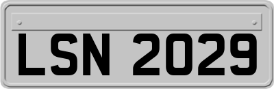 LSN2029