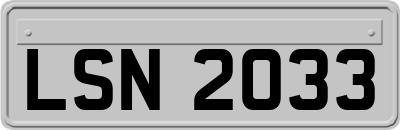 LSN2033