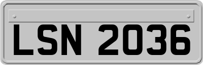 LSN2036