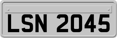 LSN2045