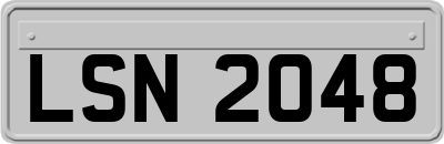 LSN2048