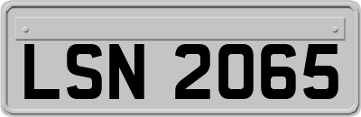 LSN2065
