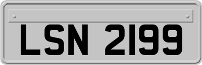 LSN2199