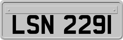 LSN2291