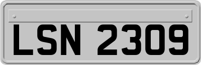 LSN2309