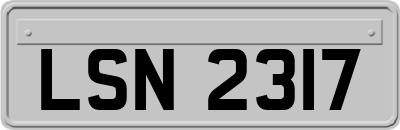LSN2317
