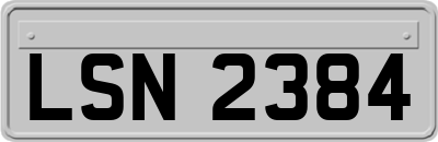 LSN2384