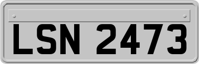 LSN2473