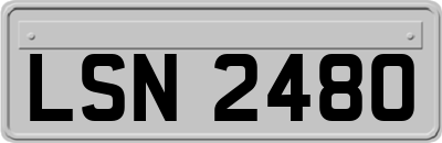 LSN2480