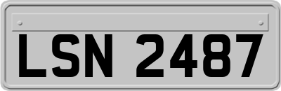 LSN2487