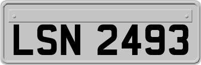 LSN2493