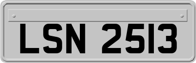 LSN2513