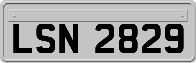 LSN2829
