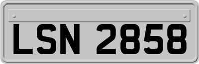 LSN2858