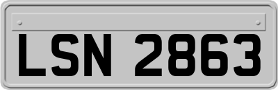 LSN2863
