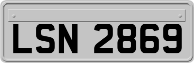 LSN2869