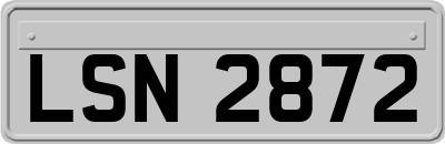 LSN2872